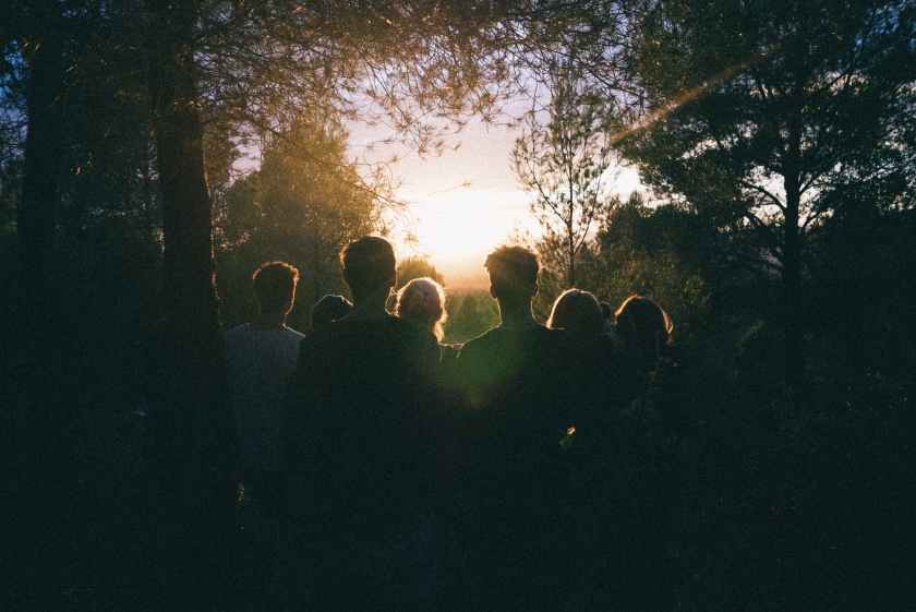 silhouette of group of people between tree line